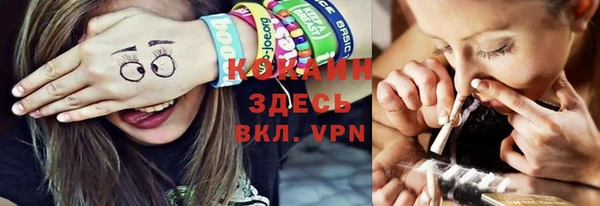 твердый Алексеевка