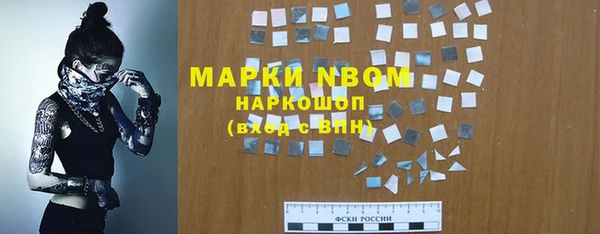 стаф Алзамай