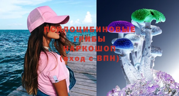 твердый Алексеевка