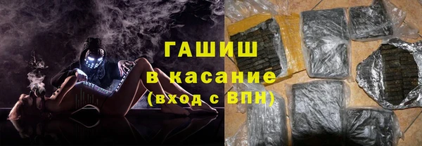 стаф Алзамай