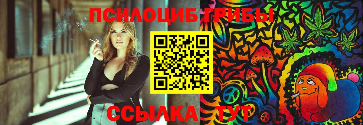 Псилоцибиновые грибы GOLDEN TEACHER Глазов