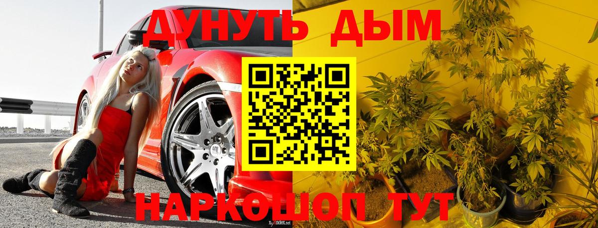 Глазов  Шишки марихуана планчик  Шишки марихуана планчик  Вход с VPN  Канабис AK-47 